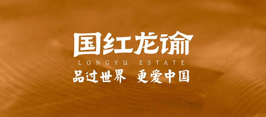 李乃文：我被中国葡萄酒惊艳到了！