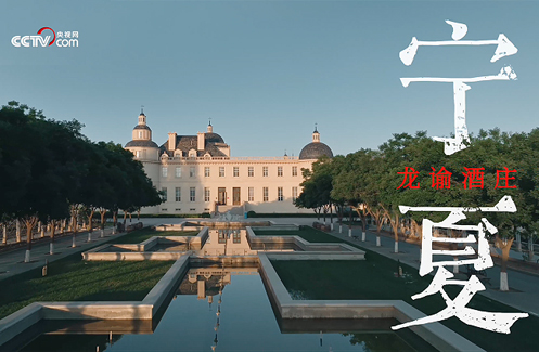 在龙谕酒庄，聂远分享演员与好酒的“风土”密码