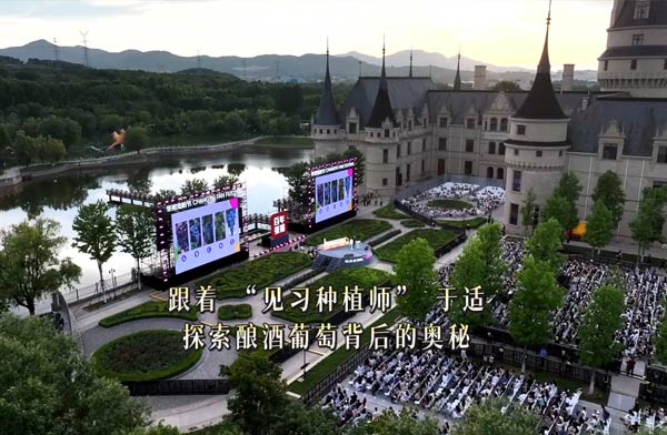 跟着“见习种植师” 于适 ，探索酿酒葡萄背后的奥秘